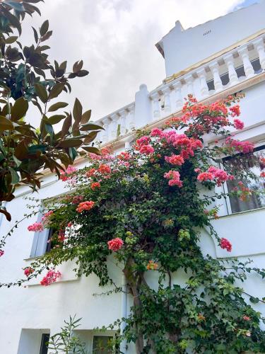 Vườn, Villa Chantilly Marbella in Marbella