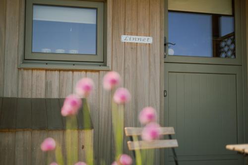 Viesnīcas āriene, Daisy Bank Camp in Blackshaw