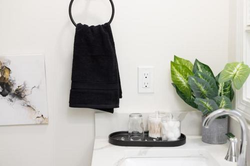 The Charles-South Shore The Charles-South Shore