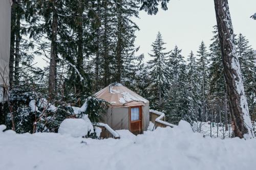 Camping Yurt #2