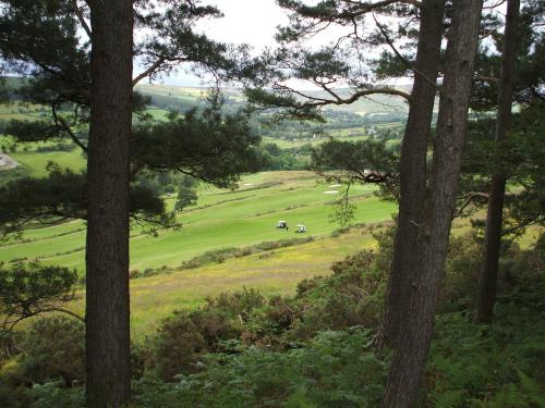 Macreddin Rock Bed & Breakfast