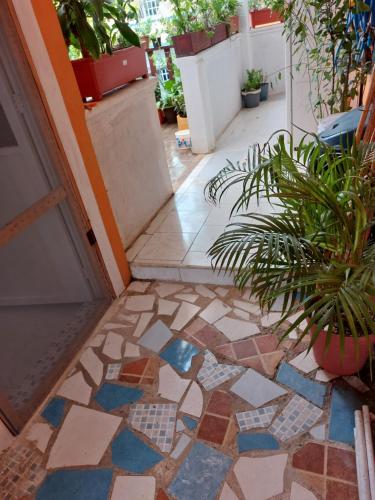 4 Habitación Cozumel in Cozumel, Mexico