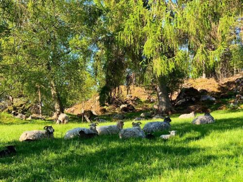 Draget gård Draget gård