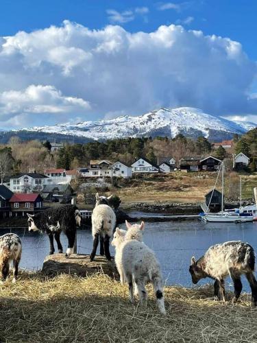 Draget gård Draget gård