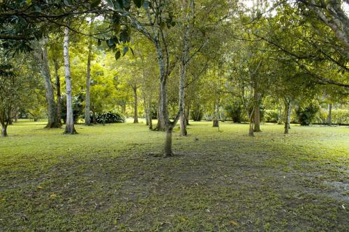 Finca Jerusalen in Tobia