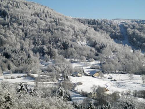 Gîte Saulxures-sur-Moselotte 3 pièces 4 personnes - FR-1-589-281 - image 8