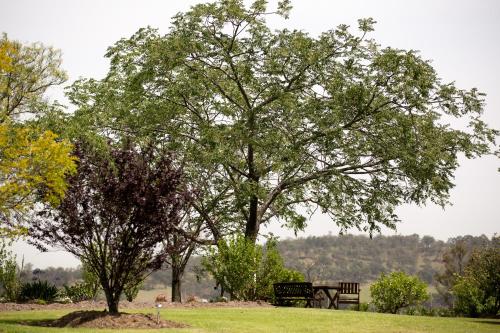 Bluebush Estate Retreat