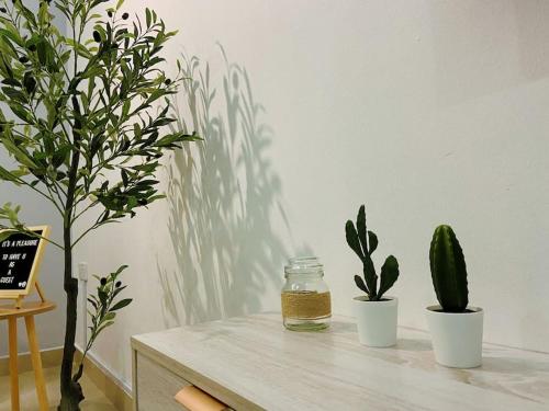 Warm and Cozy Warm and Cozy