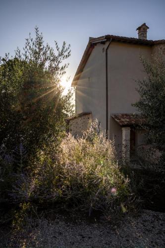 Hilltop villa with infinity pool and Todi views