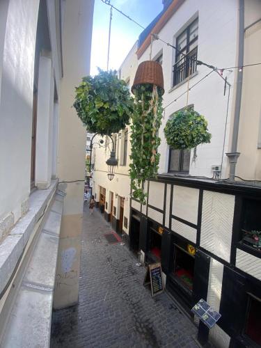 Apartament duplex, Bruksela (zdjęcie 9)