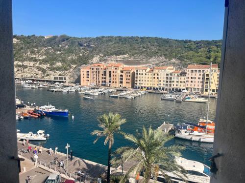 Appartement vue sur le port - Chez Carlu - Location saisonnière - Bonifacio