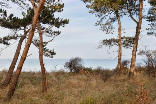 LET'S SEA - 2 Bedroom - Premium Baltic Apartment with Front Sea View Garden and SPA access