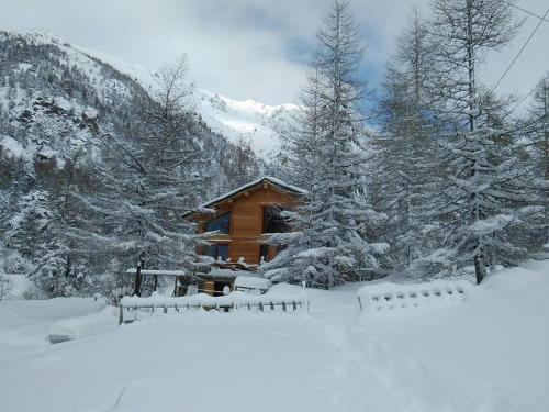 Gte T3 Le Balarino - Mercantour1 - Location saisonnière - Belvédère