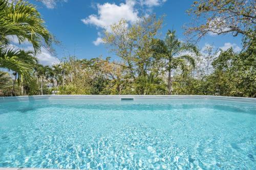 Coconut Bay - image 5