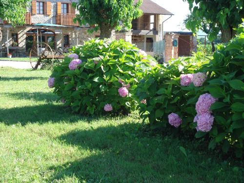 Agriturismo Al Gelso - image 3