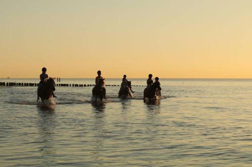 Vrijvakantiehuis Duinweg 2b in Oostkapelle
