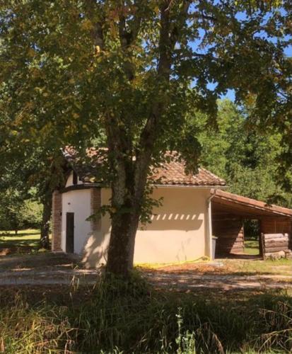 Eco-gîte en pleine nature - Location saisonnière - Lisle-sur-Tarn