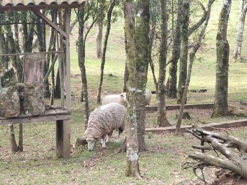 Casa de campo próximo a Gramado