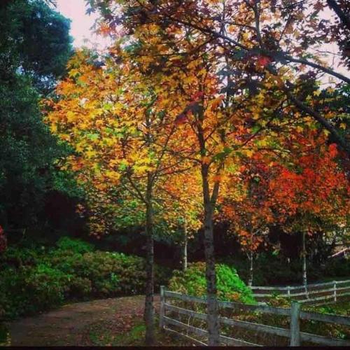 Casa de campo próximo a Gramado