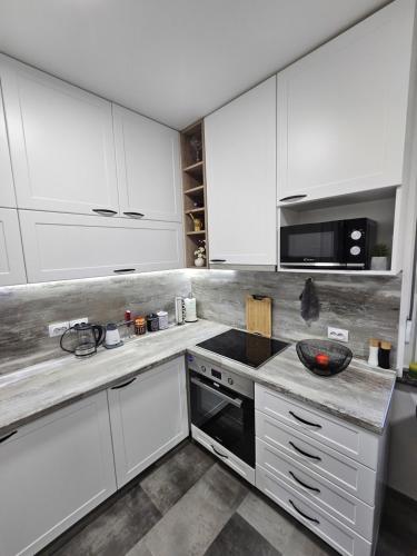keuken, 650m² 1 slaapkamer, 1 privé badkamer Appartement in Bačka Topola (Apartman "Aleksandra" in city center) in Bačka Topola