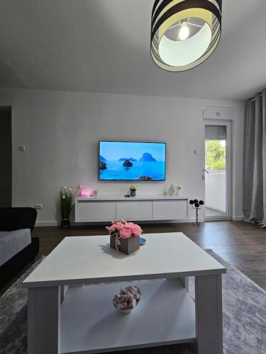 Faciliteiten, 650m² 1 slaapkamer, 1 privé badkamer Appartement in Bačka Topola (Apartman "Aleksandra" in city center) in Bačka Topola