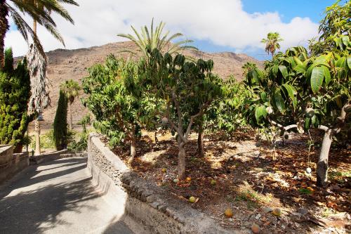 Paraiso del Molinero Bajo