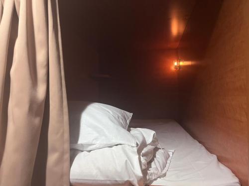 Ace Inn Shinjuku, Tokio (fotografie 8)