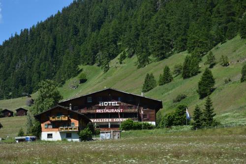 Hotel Restaurant Walliser Sonne - image 11