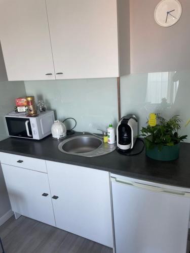 Apartament KORNER Chełmońskiego Śrem