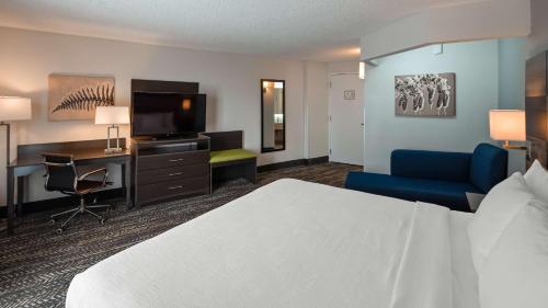 King Room with Walk-In Shower - Pet Friendly/Non-Smoking
