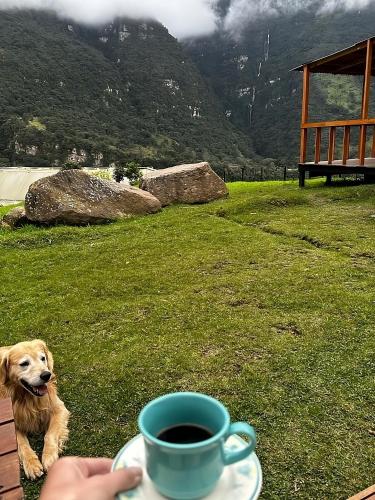 สวน, MonteLuna Glamping in เชาชี