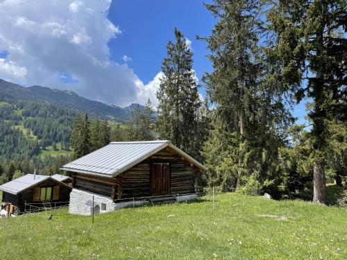 Mountain Cabin Got Spess Lenzerheide