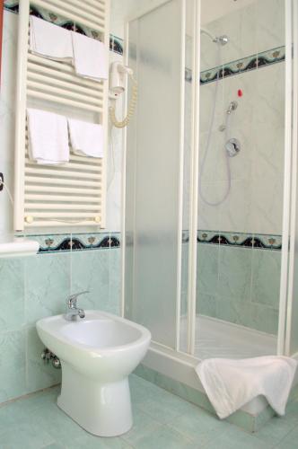 Hotel Shasa - image 13