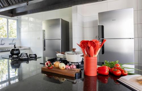 One-Bedroom Apartment image 10