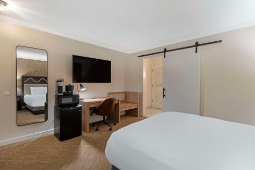 Queen Room with Roll-In Shower - Mobility Accessible/Non-Smoking