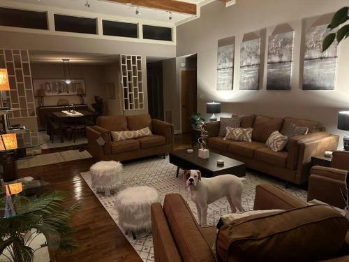 Mid-Century Modern Luxury in Fayetteville, USA