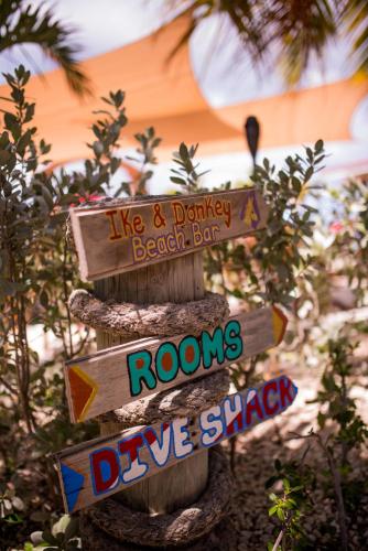 Bohio Dive Resort