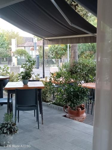  Ninfea rooms in Cervia