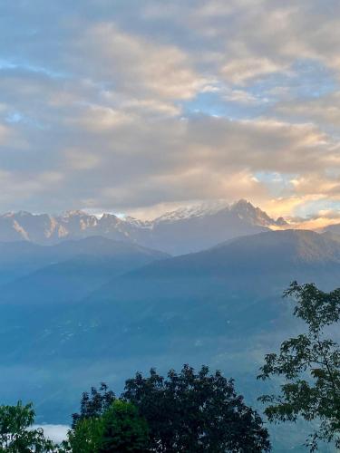 The Blue Heaven Upper Pelling