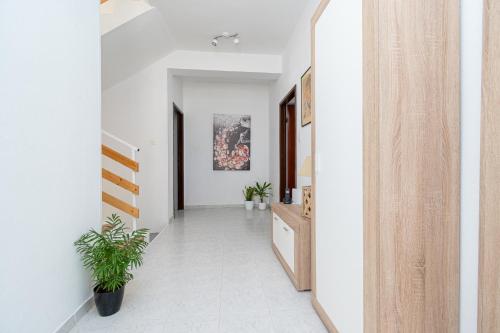 Seaside holiday house Preko Ugljan - 18077 - main image