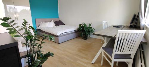 Modern studio, central location and free parking