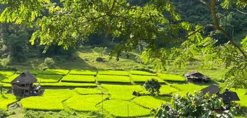 Imsuk Bo Klua thumbnail 4
