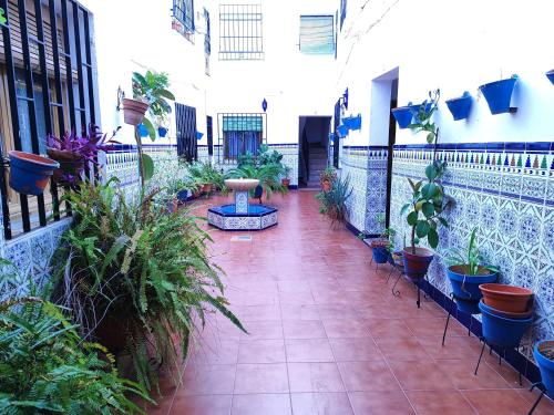 La casa del patio en pleno San Lorenzo, Córdoba (fotografie 2)