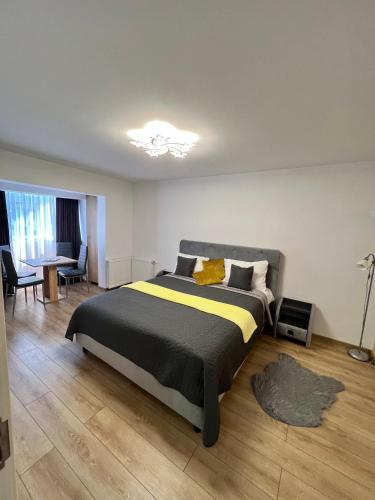 Boby s Studio with Free Parking, Turda (Foto 2)