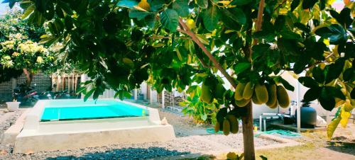 Garden, Jelenga Homestay in Beru