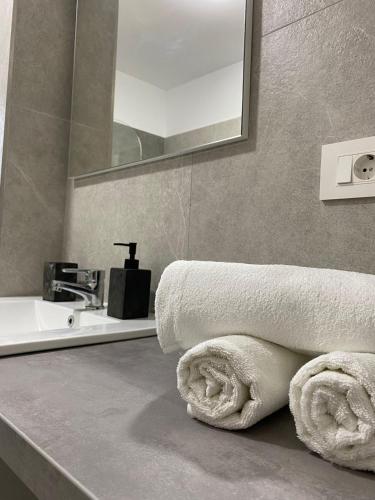 Comfort & Luxury Apartaments PNMresidence, Timişoara (photo 2)