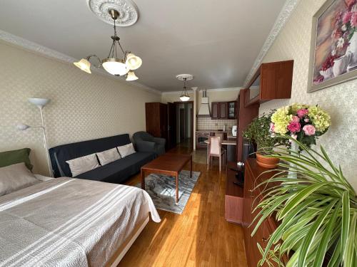 Apartment Julia in the center of Karlovy Vary