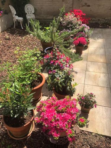 Gartenwohnung in Haidhausen, München (Foto 4)