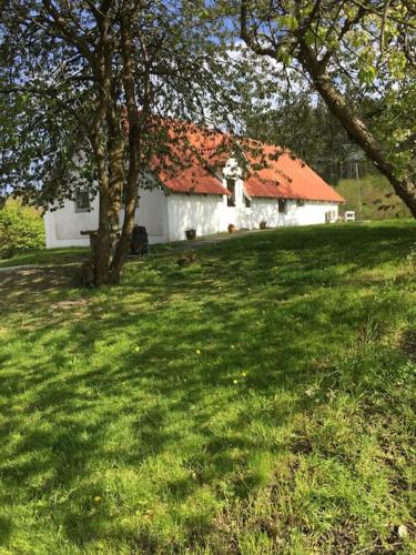  Vacation home on the Half island Helgenæs in Knebel