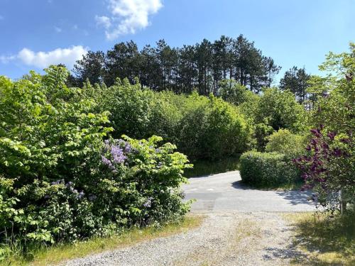 Vacation home on the Half island Helgenæs